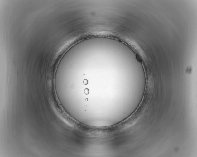 X0000092040533200709121007