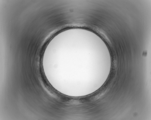 X0000092040534200709121007
