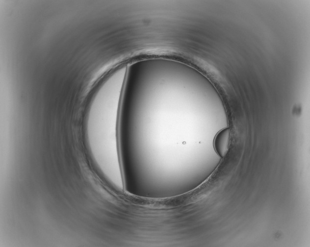 X0000092040535200709121007