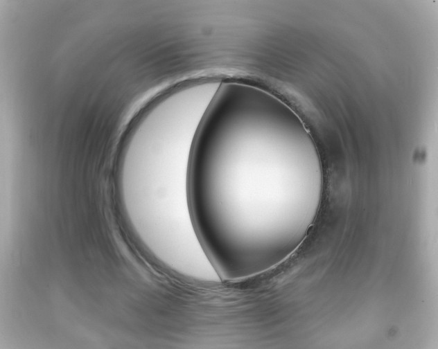 X0000092040536200709121007
