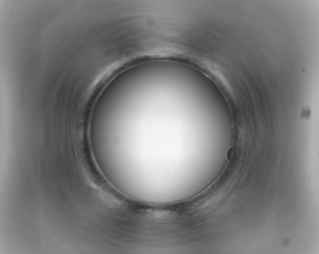 X0000092040539200709121007