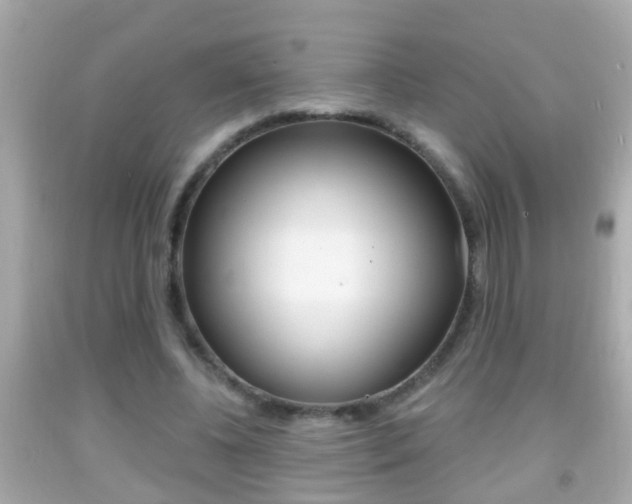 X0000092040540200709121007
