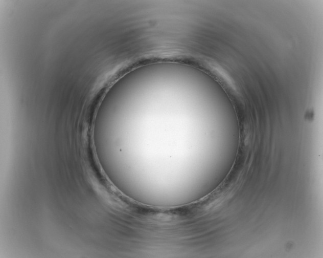X0000092040542200709121007