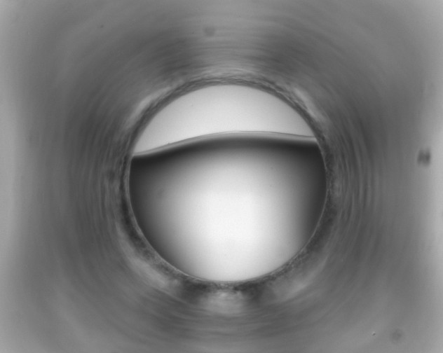 X0000092040543200709121007