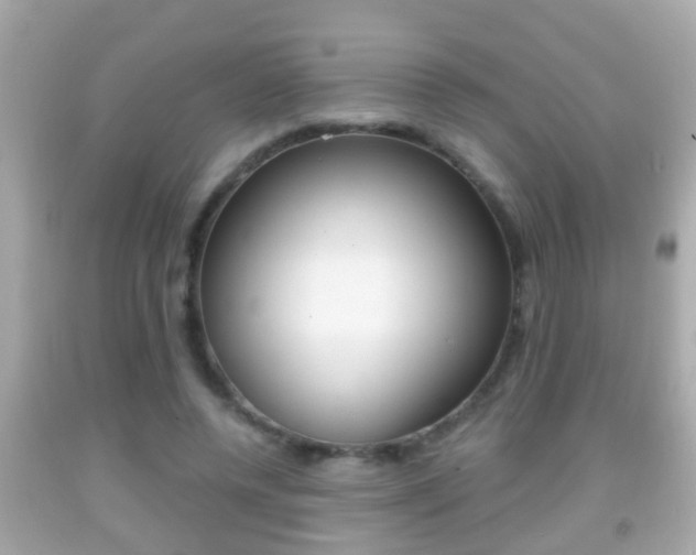 X0000092040544200709121007