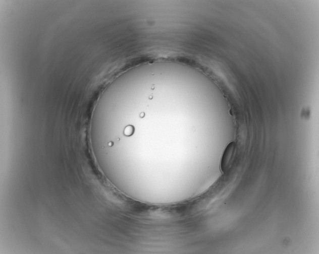X0000092040545200709121007