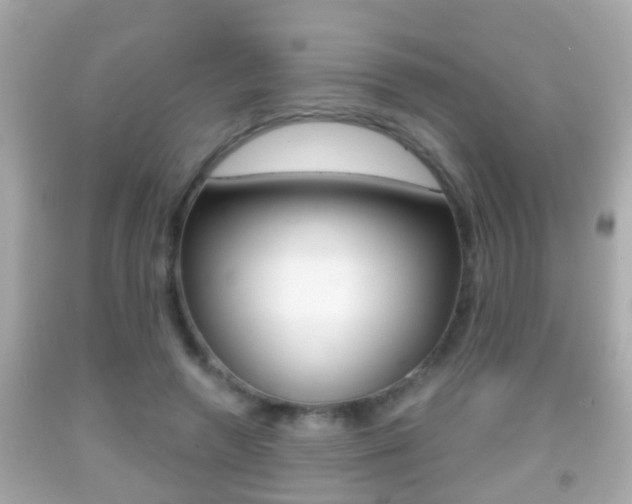 X0000092040546200709121007