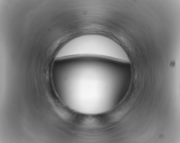 X0000092040547200709121007