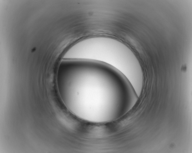 X0000092040548200709121007