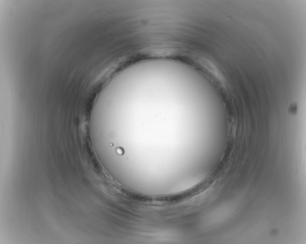 X0000092040549200709121007