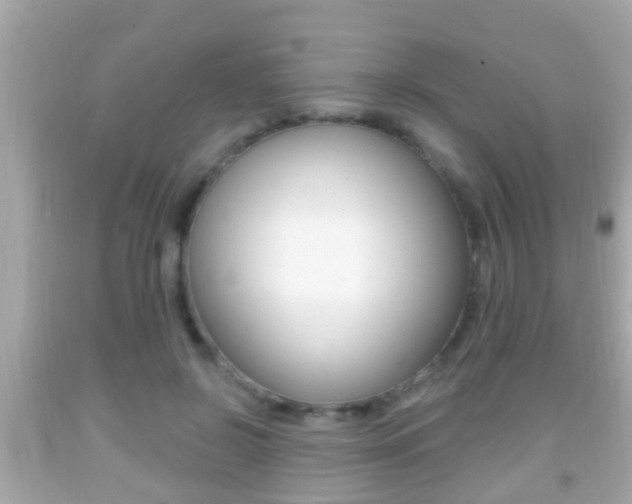 X0000092040550200709121007