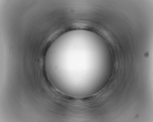 X0000092040551200709121007
