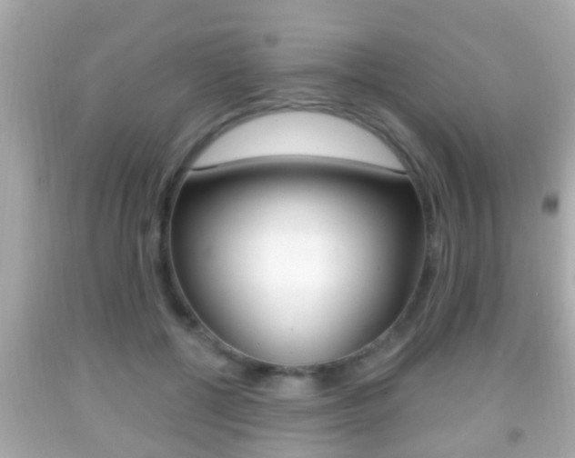 X0000092040552200709121007