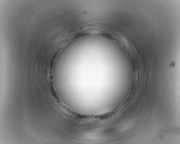 X0000092040553200709121007