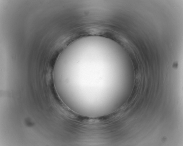 X0000092040554200709121007