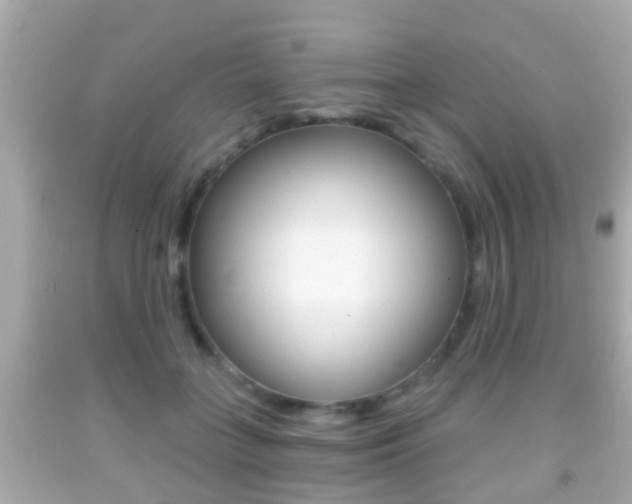X0000092040555200709121007