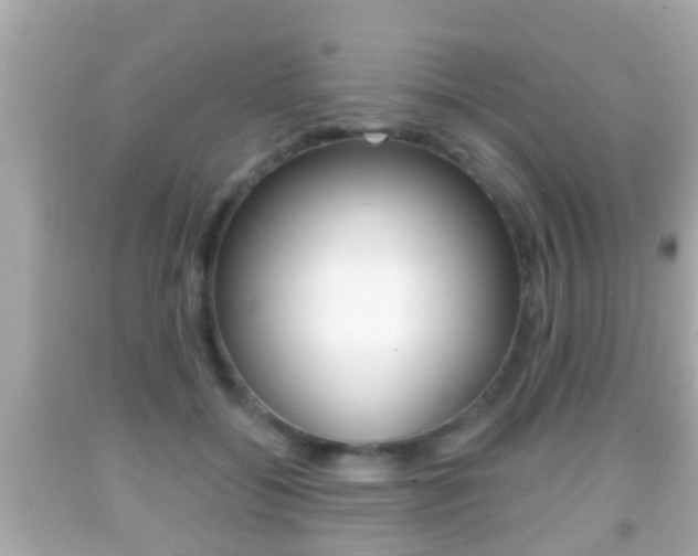X0000092040556200709121007