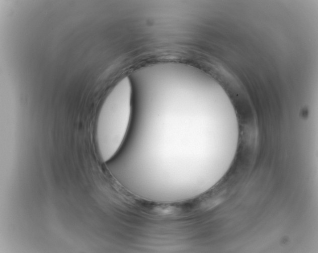X0000092040557200709121007