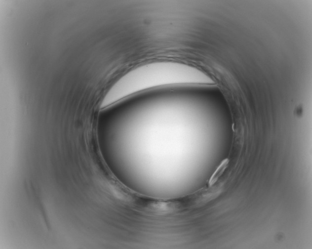 X0000092040558200709121007