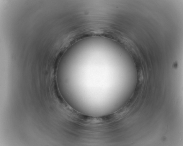 X0000092040559200709121007
