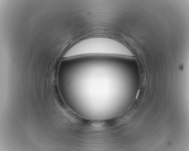 X0000092040560200709121007