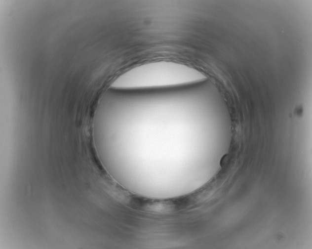 X0000092040561200709121007