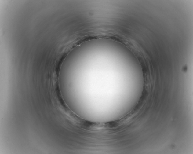 X0000092040563200709121007