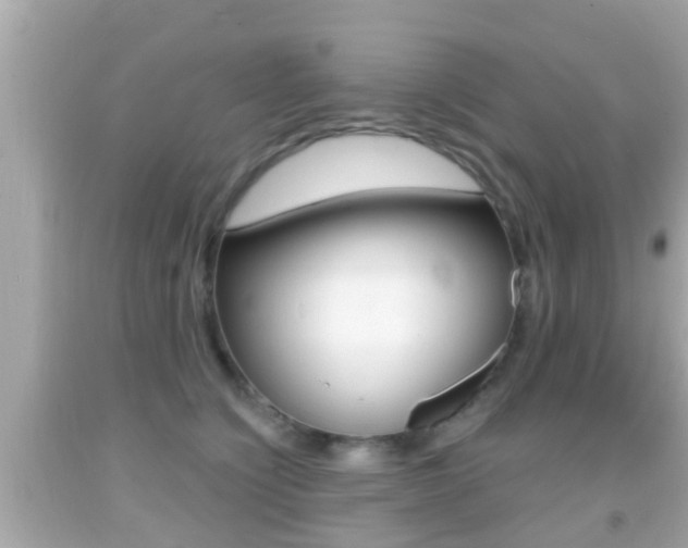 X0000092040564200709121007