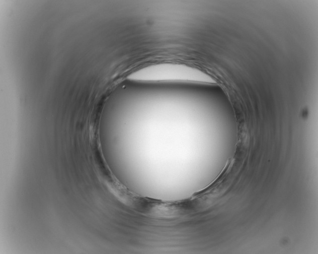 X0000092040568200709121007