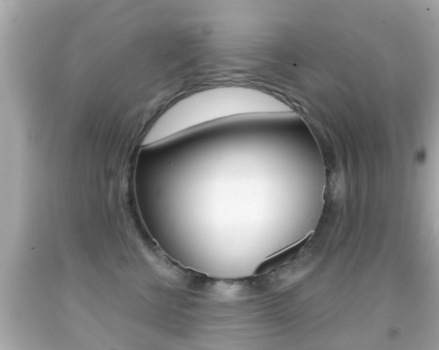 X0000092040570200709121007