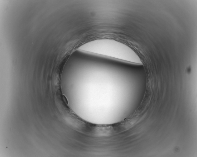 X0000092040571200709121007