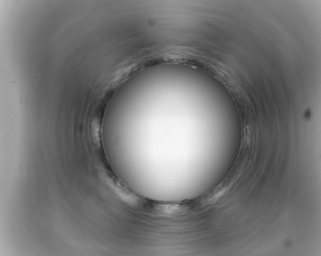 X0000092040575200709121007