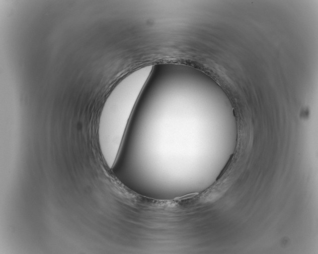 X0000092040576200709121007