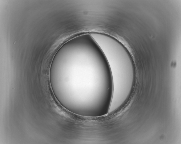 X0000092040577200709121007