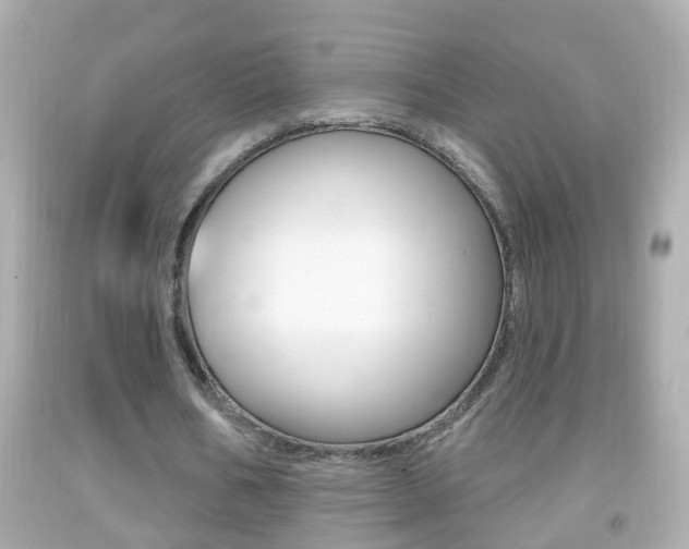 X0000092040578200709121007