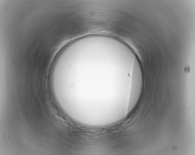 X0000092040579200709121007