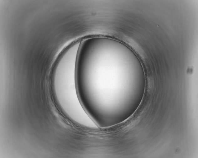 X0000092040580200709121007