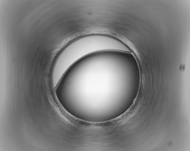 X0000092040581200709121007