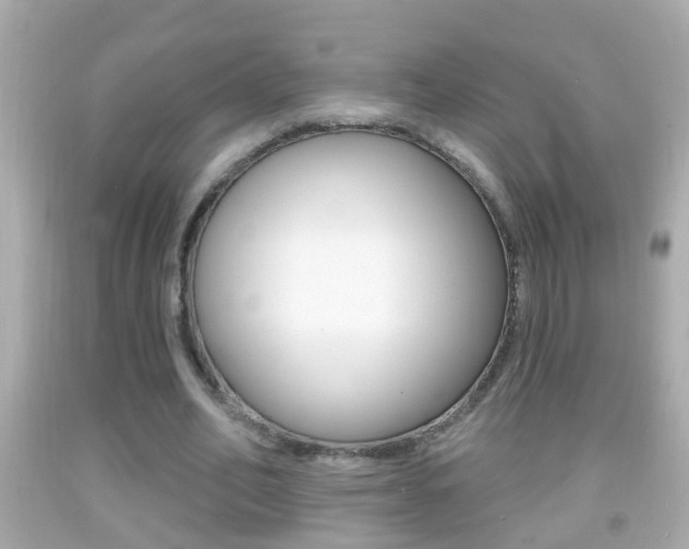 X0000092040582200709121007