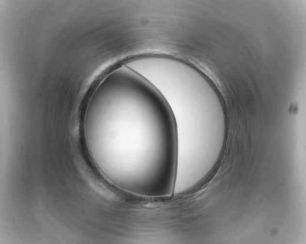 X0000092040584200709121007