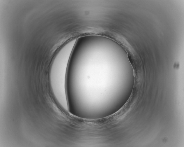 X0000092040585200709121007