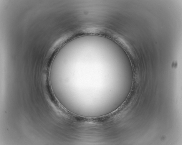 X0000092040586200709121007