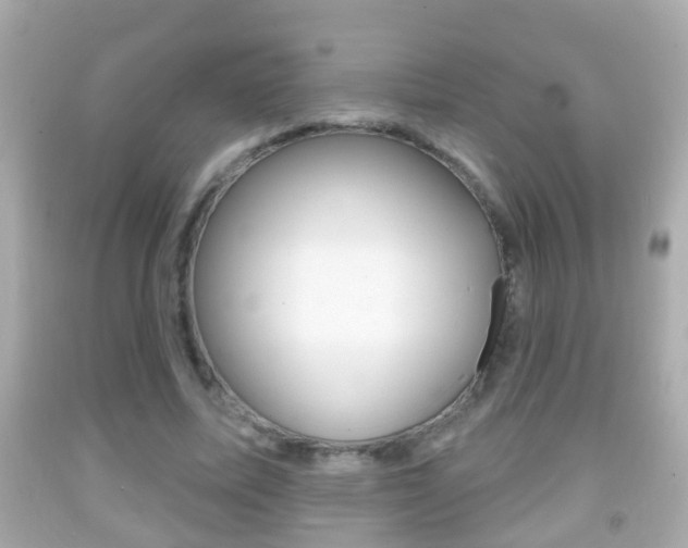 X0000092040587200709121007