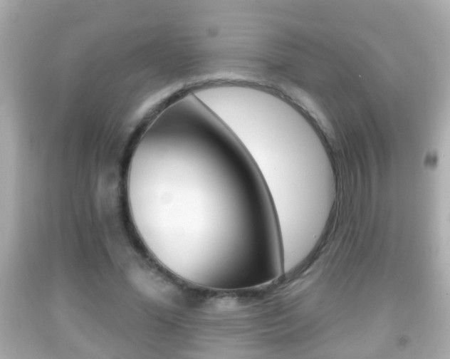 X0000092040588200709121007