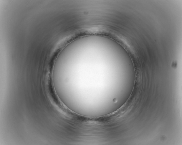 X0000092040590200709121007