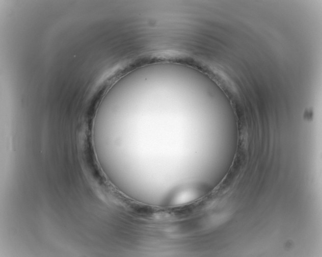 X0000092040591200709121007