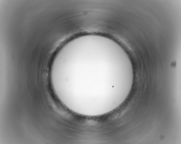 X0000092040592200709121007