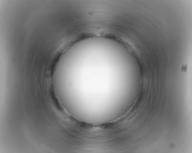X0000092040594200709121007