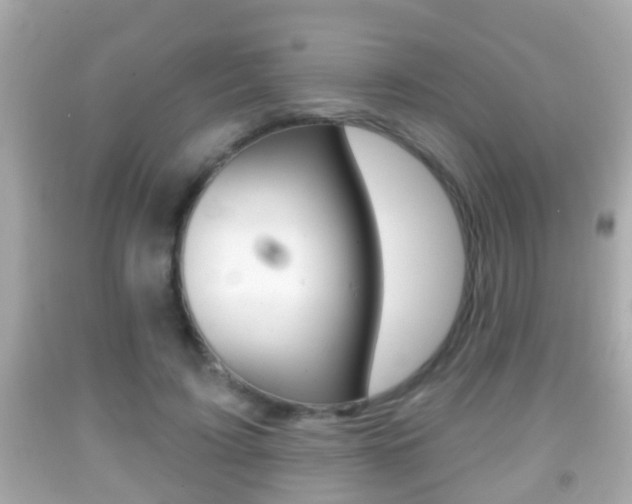 X0000092040595200709121007