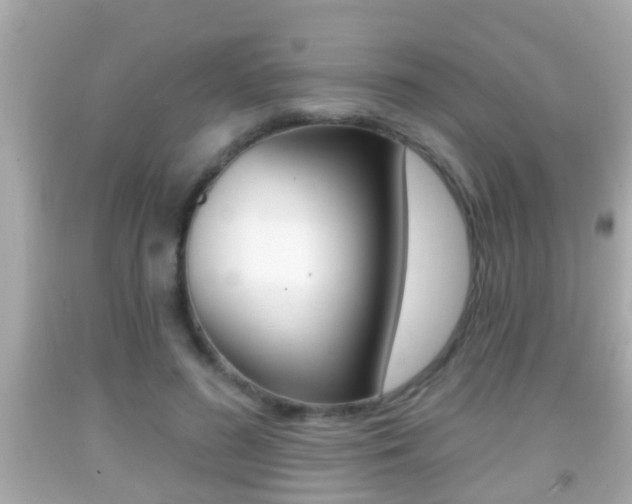 X0000092040596200709121007